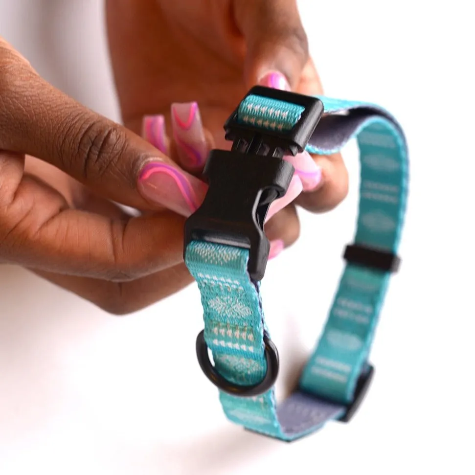 The Aloma Dog Collar